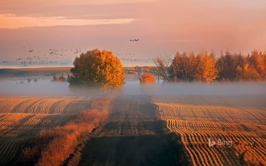 Sunrise in Alberta, Canada