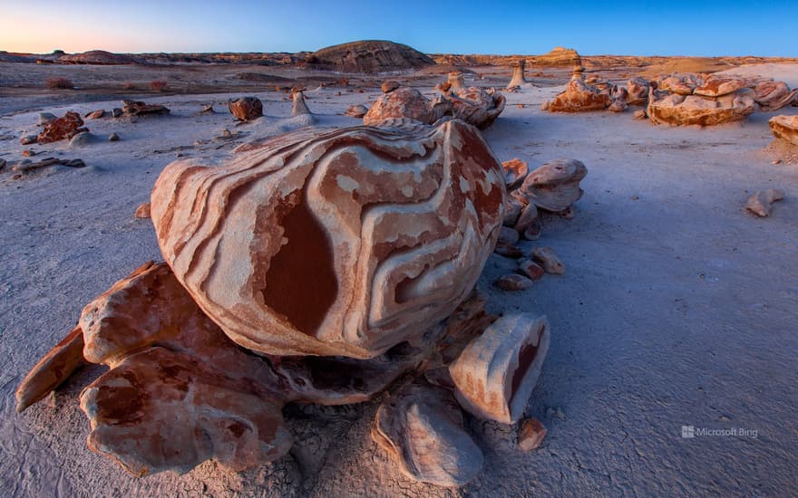 Bisti/De-Na-Zin Wilderness, New Mexico, USA