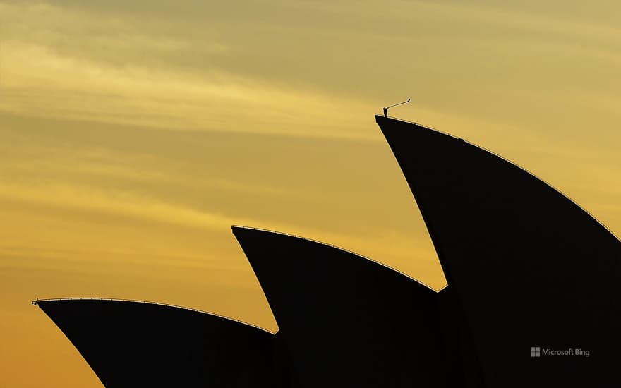 Arkady Shilkloper plays his three-metre-long alphorn atop the Sydney Opera House as part of the 2013 Sydney Festival