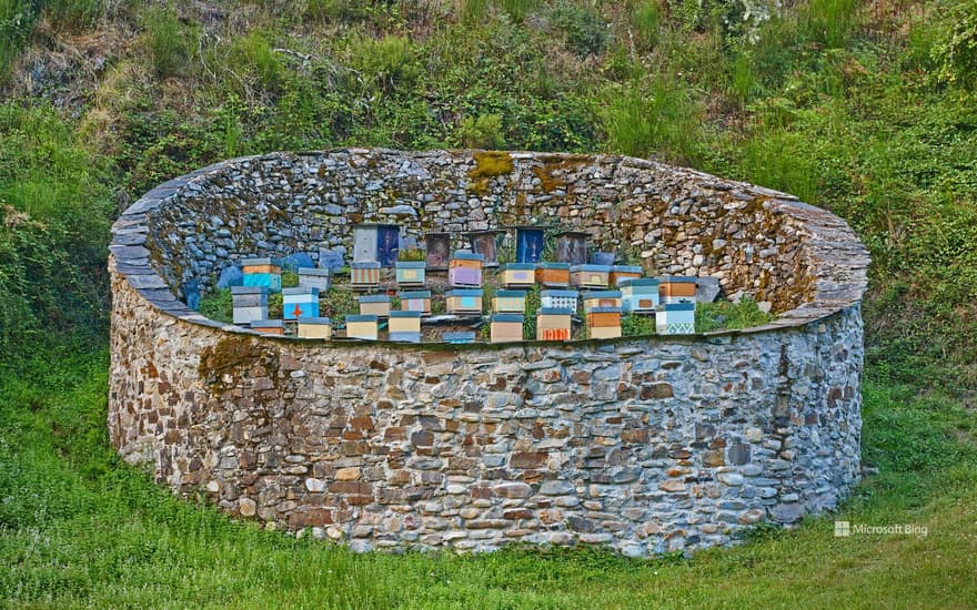 Muniellos Nature Reserve, Asturias, Spain