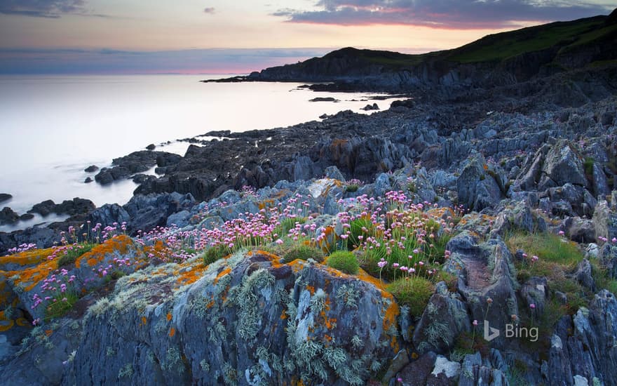 Bull Point in Devon, England