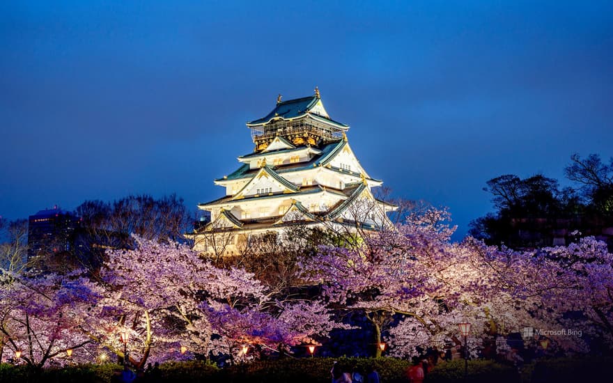 Sakura and Osaka Castle, Osaka