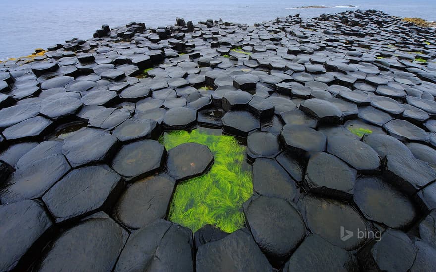 Giant's Causeway, County Antrim, Northern Ireland, United Kingdom