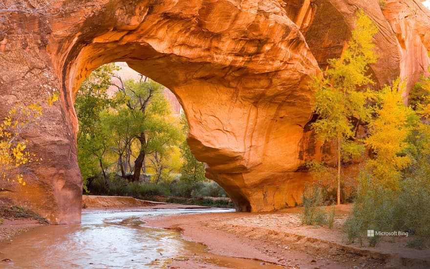 Cottonwoods seen through an arch in Coyote Gulch, Glen Canyon Recreation Area, Utah