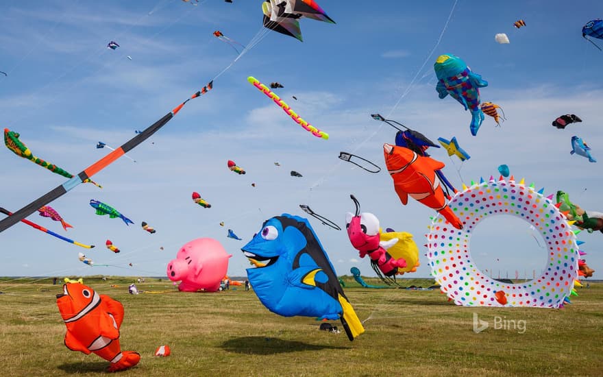 Colorful kites in Schillig, Wangerland, Lower Saxony