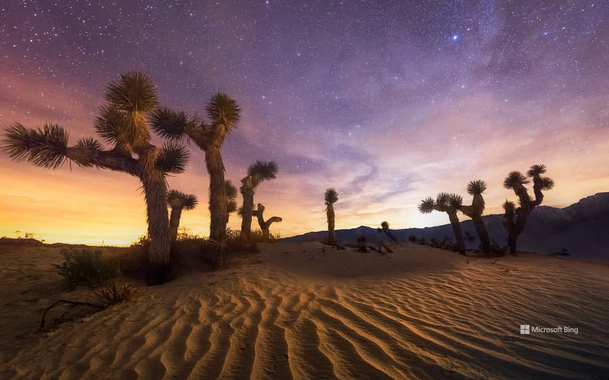 Joshua Tree National Park, California, USA