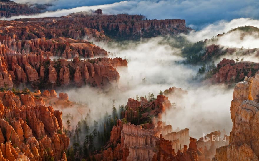 Pinnacles and hoodoos with fog in Bryce Canyon National Park, Utah