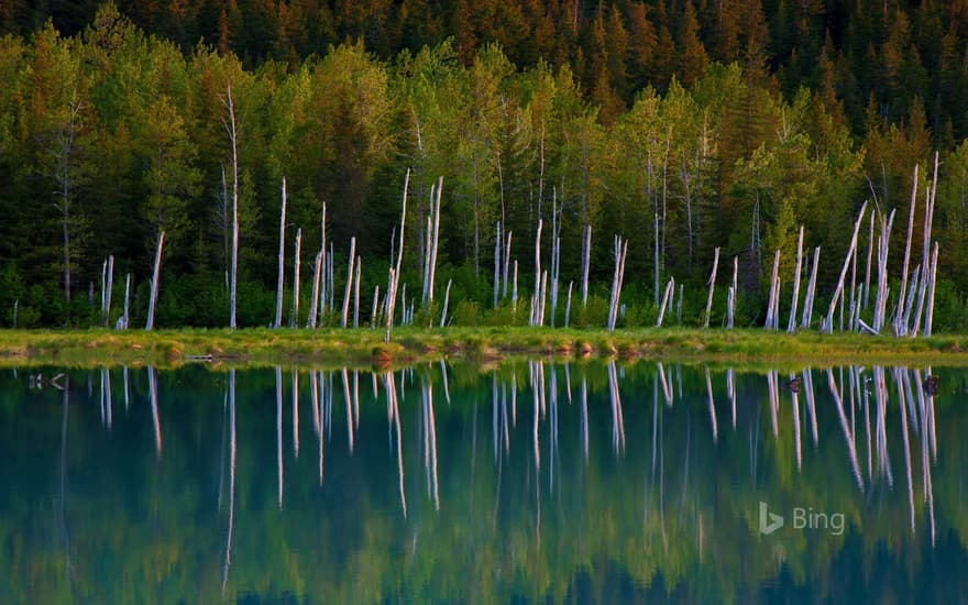 Portage Lake in Chugach National Forest, Alaska