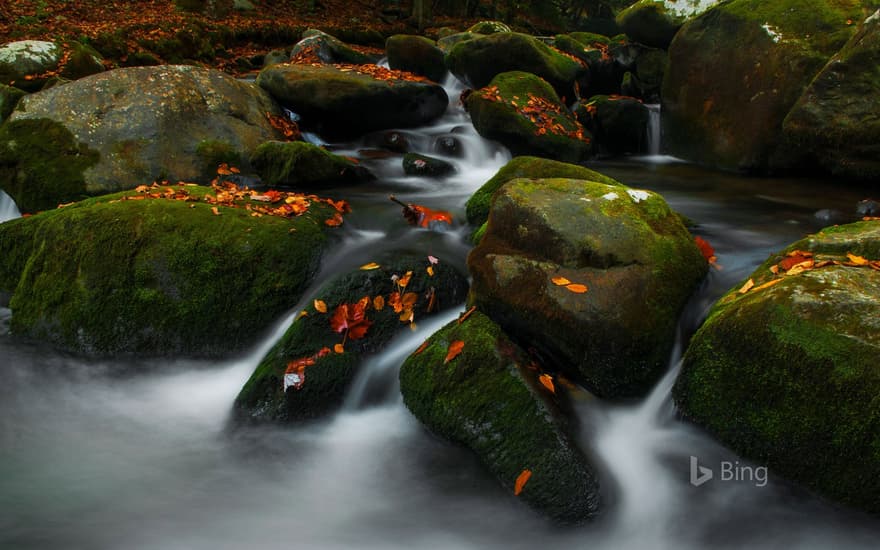 Roaring Fork in Great Smoky Mountains National Park, Tennessee