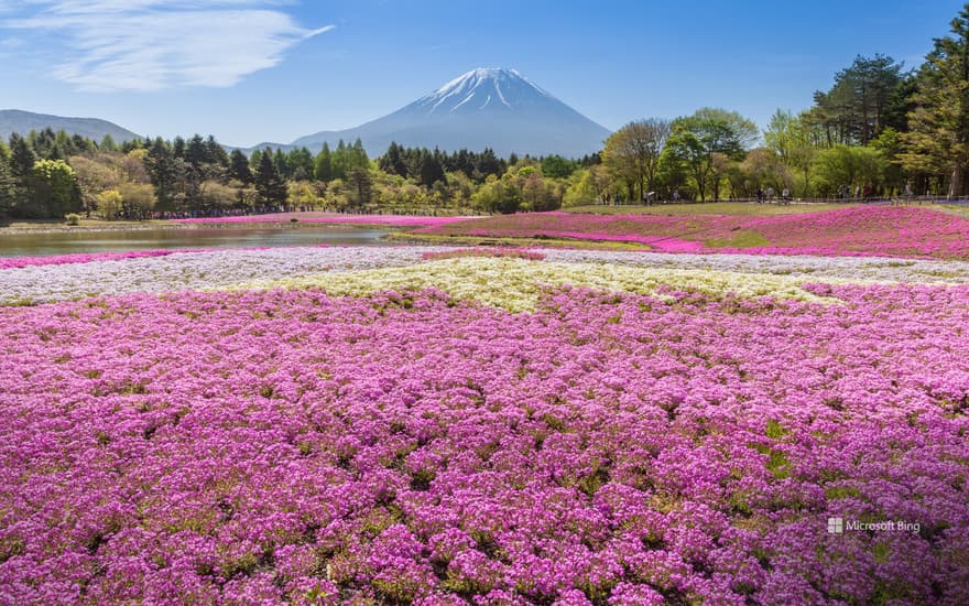 Fuji Motosu Lake Resort, Yamanashi Prefecture