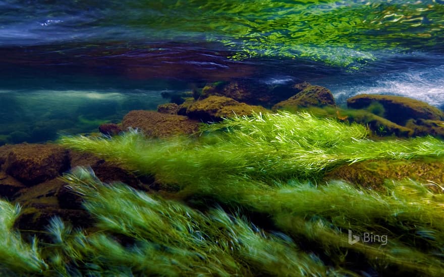 Afon Ogwen, a river in Snowdonia National Park, Wales