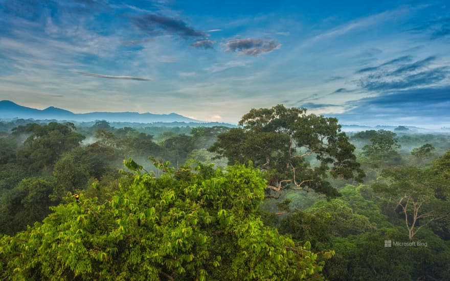 La Selva Biological Station, Costa Rica