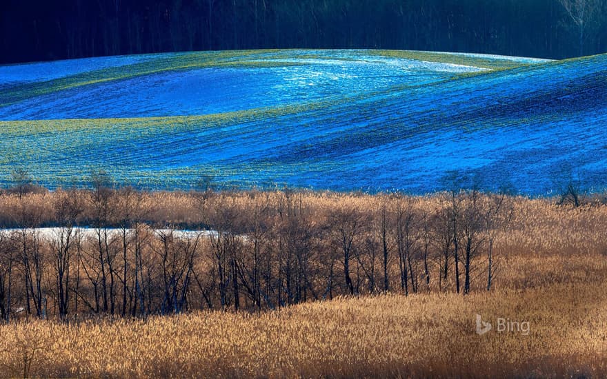 A rural portion of Gmina Barczewo, Olsztyn County, Poland