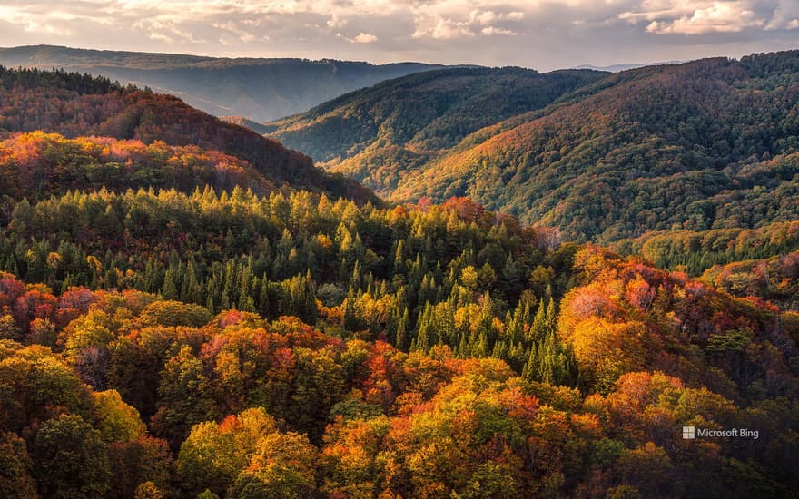 Autumn leaves on Mt. Hakkoda, Aomori City, Aomori Prefecture